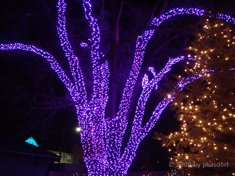 012 Toledo Zoo Light Show [2008 Dec 27].JPG - Scenes from the Toledo Zoo Light Show.